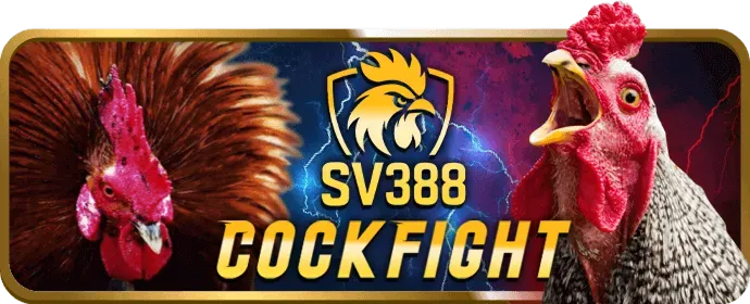 Cá cược các môn thể thao khác tại awin6868 win
